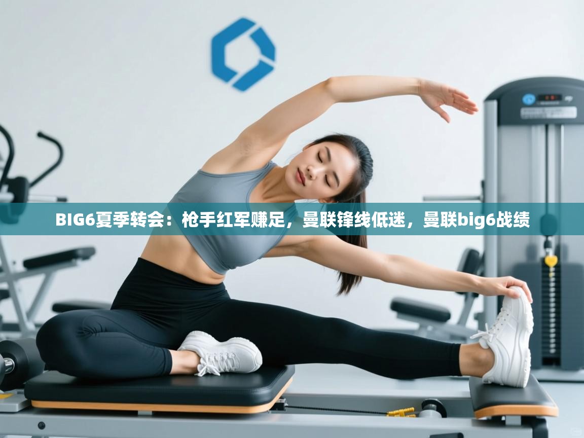 -BIG6夏季转会：枪手红军赚足，曼联锋线低迷，曼联big6战绩  第2张