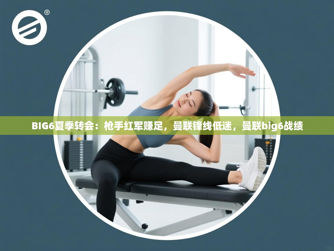 -BIG6夏季转会：枪手红军赚足，曼联锋线低迷，曼联big6战绩  第4张